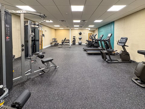 A spacious gym with a variety of equipment including treadmills, weights, and benches.